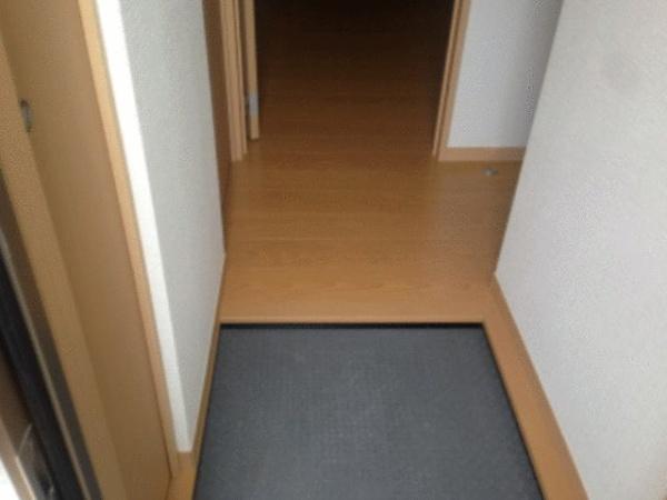 ホワイトプラターヌ