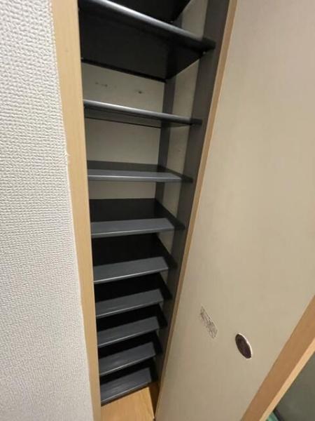 ホワイトプラターヌ