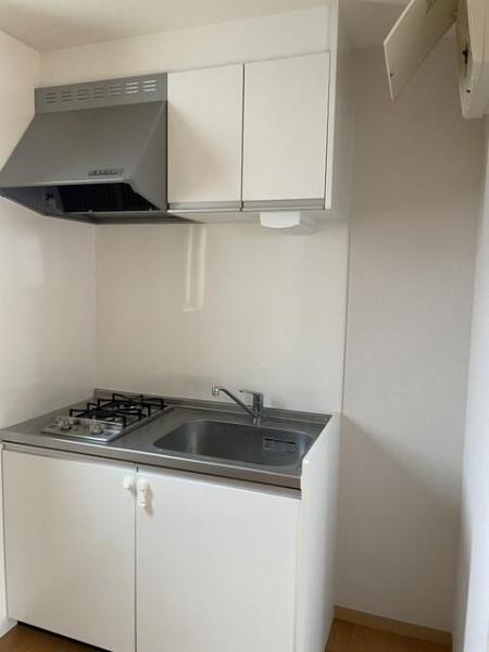 ホワイトプラターヌ