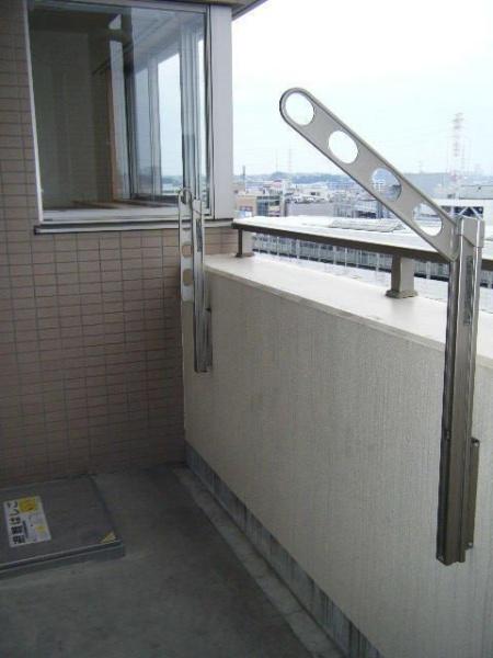 エヴァーグリーン新羽
