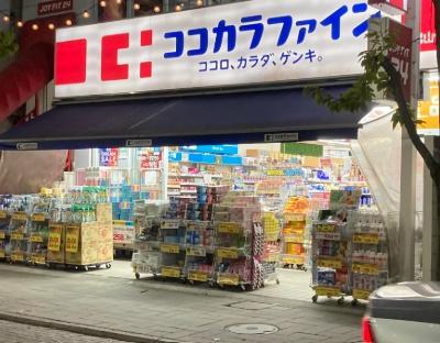 フローラ尾山台(ココカラファイン尾山台店)