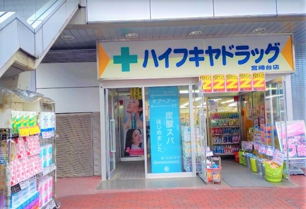 ディアコート宮崎台(ハイフキヤドラッグ宮崎台駅前店)