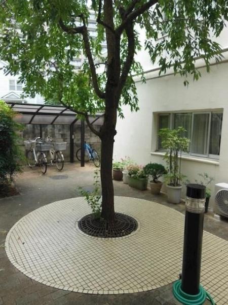 カーサアビエス