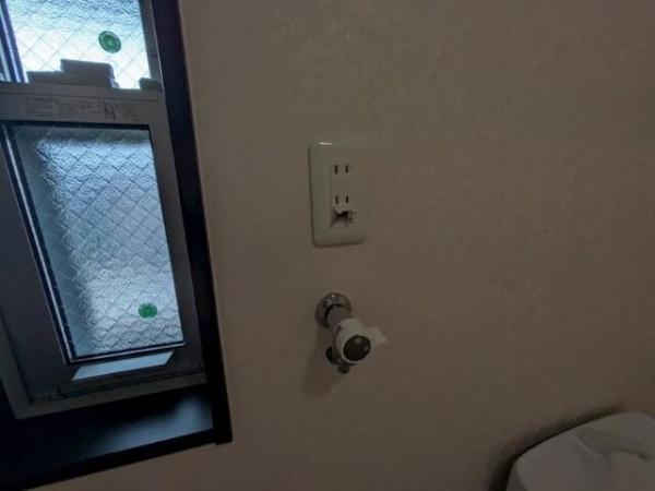 テラス幹