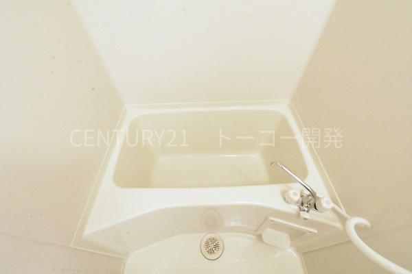 オキザリス