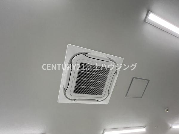 湘南パール