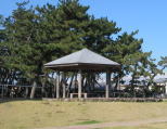 ナルチガサキ(茅ヶ崎公園)