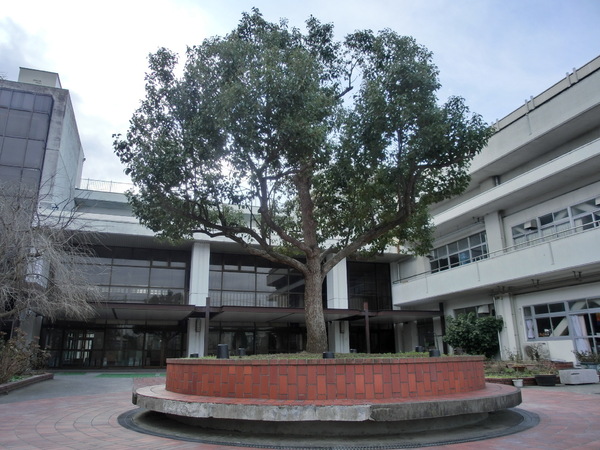 ガーデンアソシエK棟(横浜市立西本郷中学校)