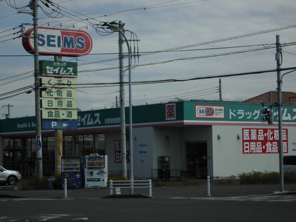 D-room請西南A棟(ドラッグセイムス木更津請西南店)