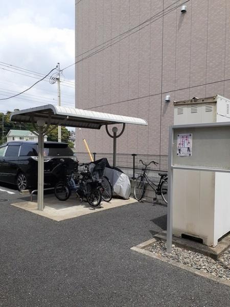 ウィルシャイン