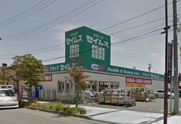 パークサイドヒルズ(ドラッグセイムス石巻大橋店)