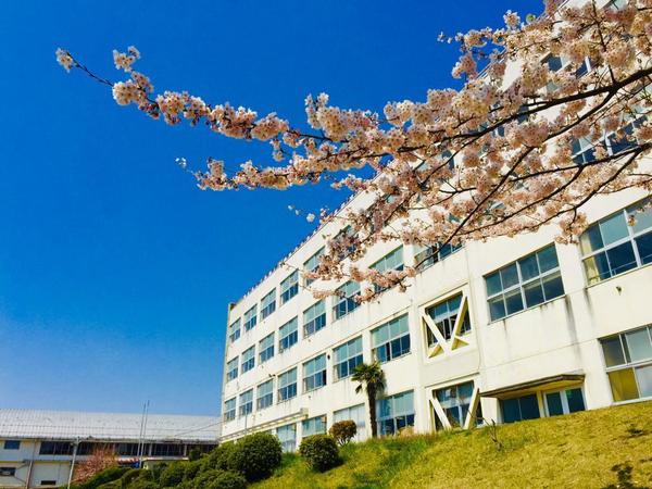 石巻市南光町1丁目の貸家(石巻市立石巻中学校)