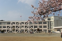 石巻市住吉町１丁目の店舗・事務所(石巻市立石巻小学校)