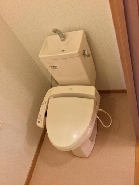 アミリアコート