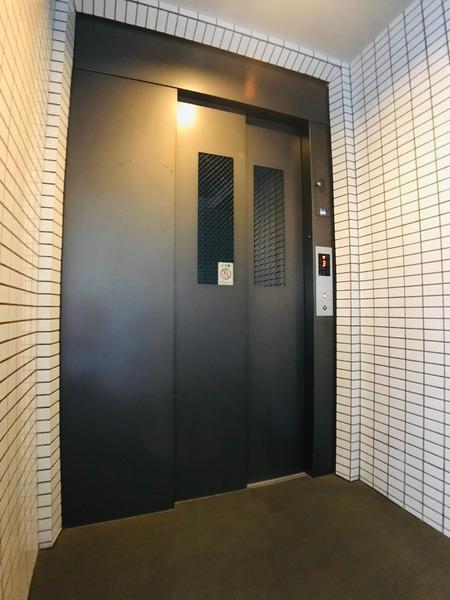 Y'sCourt