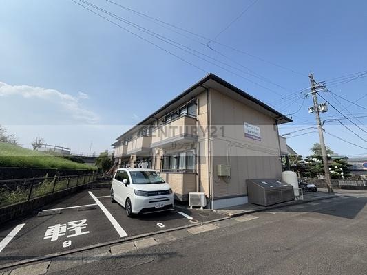 スターリー・スカイ