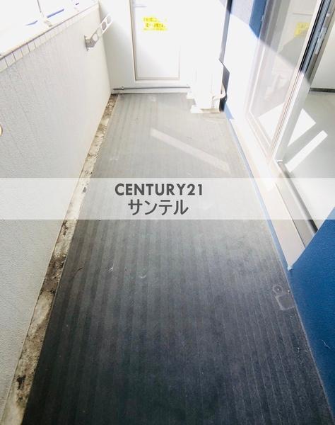 アムールソレオ