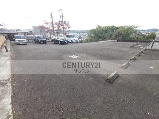 TPCVⅢ