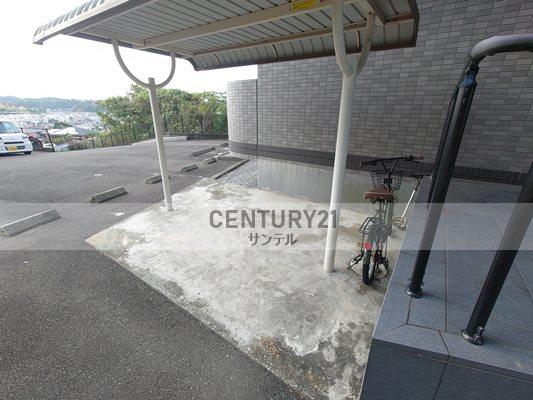 TPCVⅢ