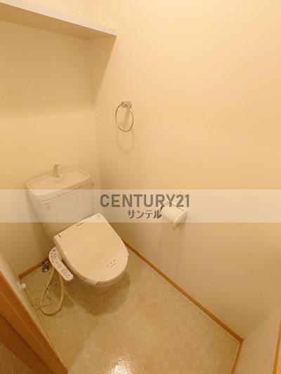 TPCVⅢ