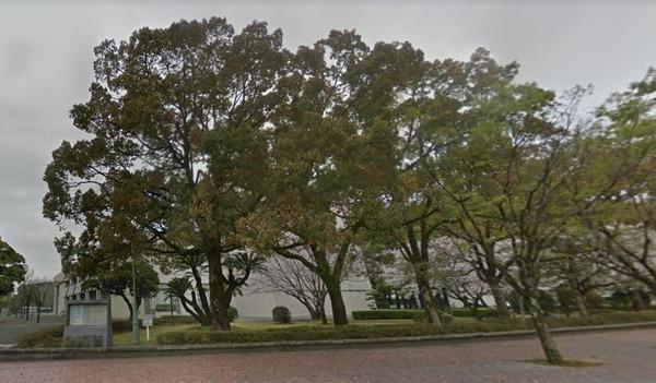 RassurerGion(宮崎県立図書館)