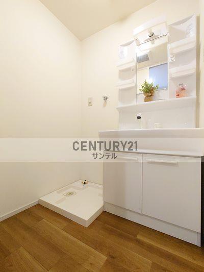 アンベール鶴島