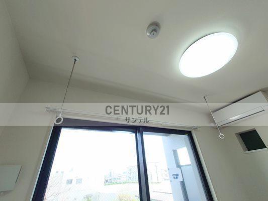 アンベール鶴島