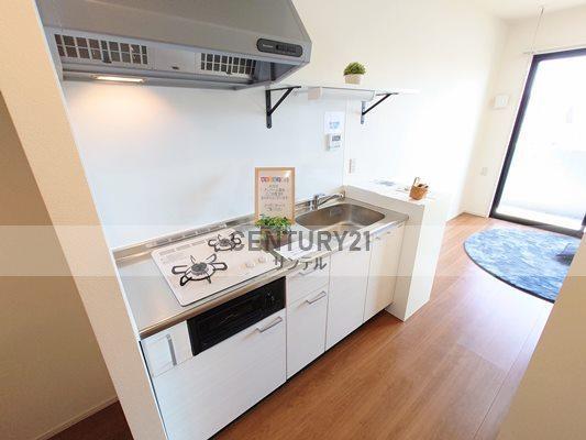 アンベール鶴島