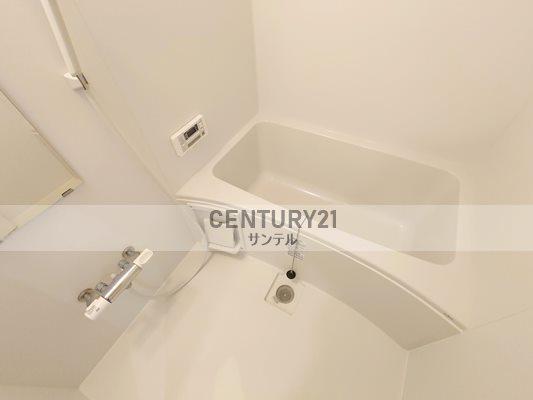 アンベール鶴島