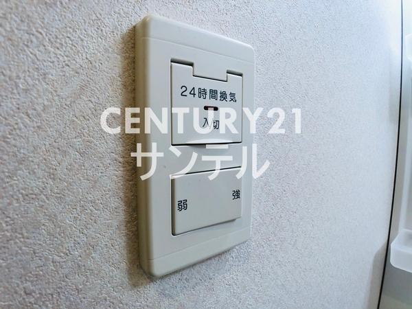 osmanthus・Ｔ（オスマンサス・ティ）