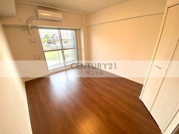 ピーノ　グランデ