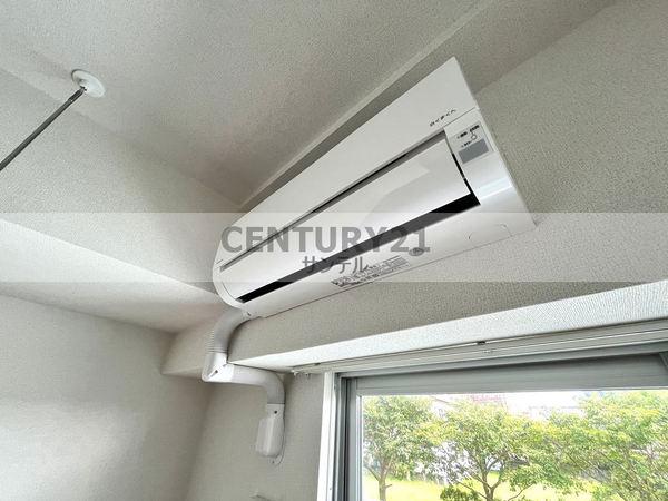 ピーノ　グランデ