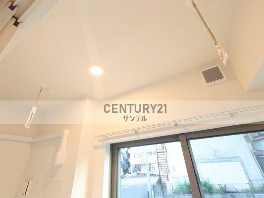 Ｔｅａ　Ｔｒｅｅ