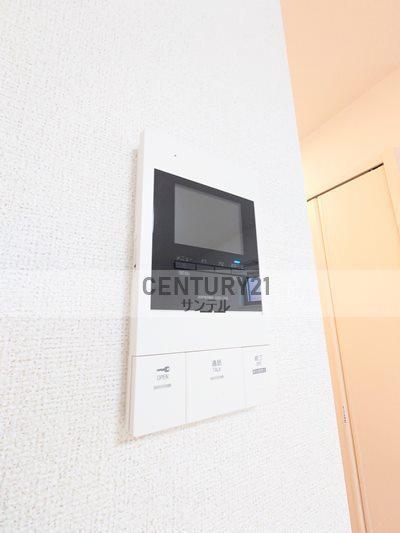 Ｔｅａ　Ｔｒｅｅ