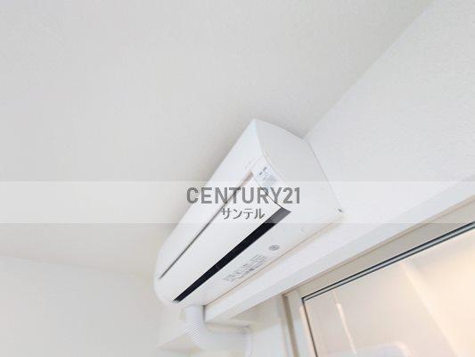 Ｔｅａ　Ｔｒｅｅ