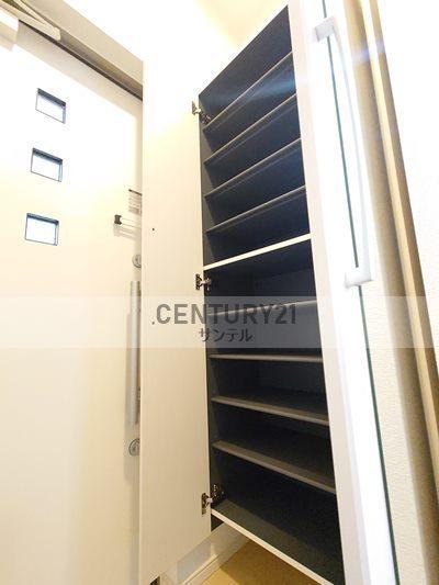 Ｔｅａ　Ｔｒｅｅ