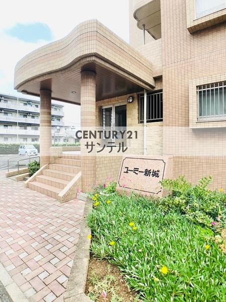 ユーミー新城