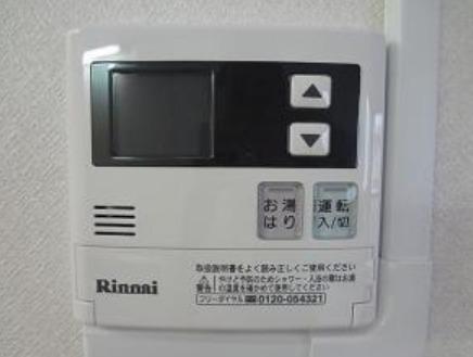 ism