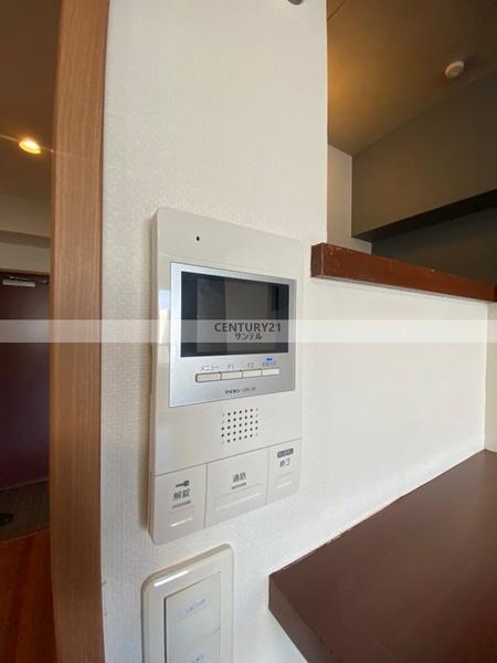 アルテマイスターヴィオラ