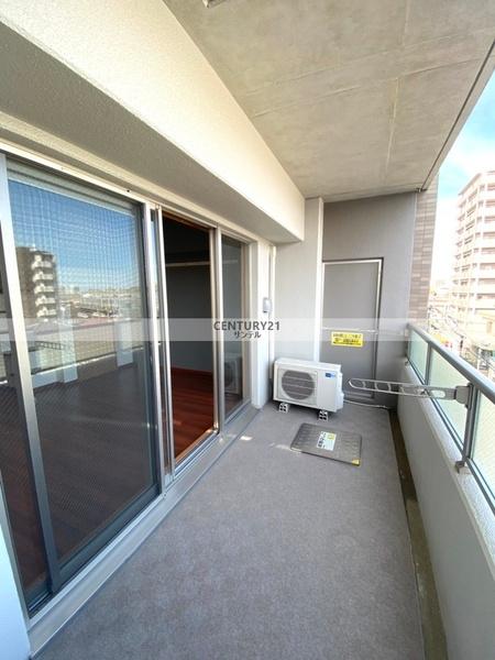 アルテマイスターヴィオラ