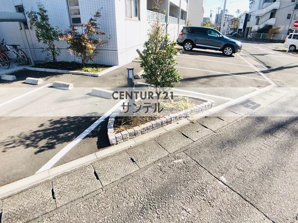 アムールソレオ