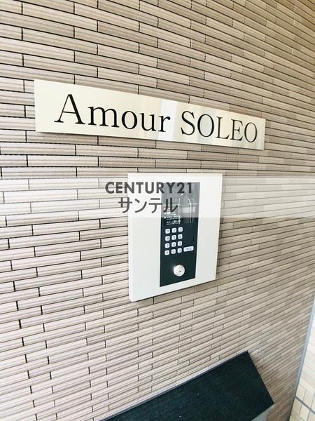 アムールソレオ