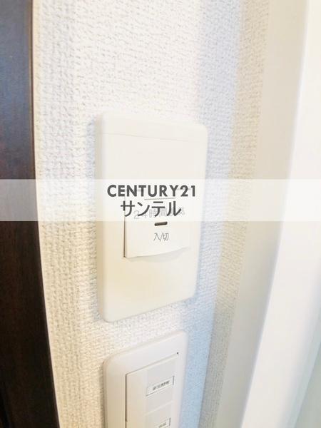 アムールソレオ