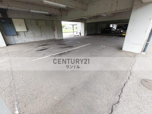 サンライズ清武