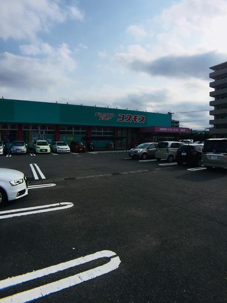KoOlinaYanagimaru（コオリナ柳丸）(ドラッグコスモス柳丸店)