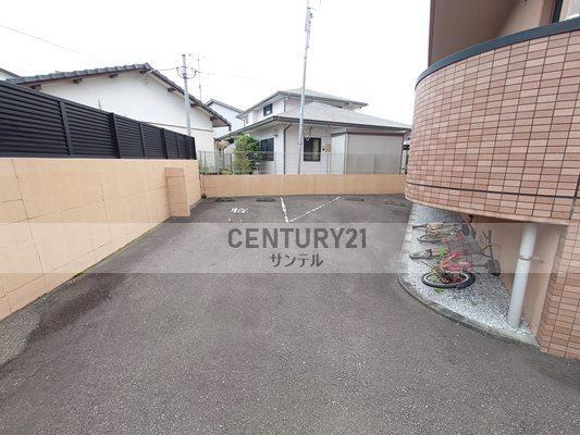 TPCⅤ