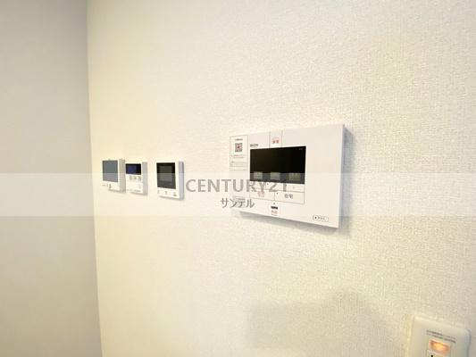 アルカコンネコスモス