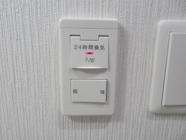 ラファエラ