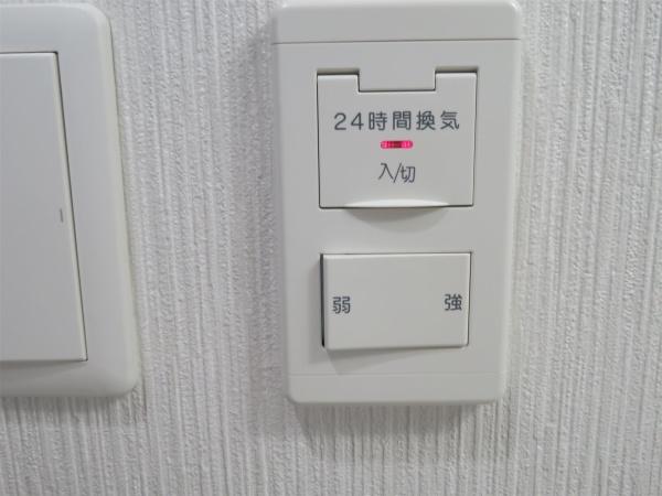 ラファエラ