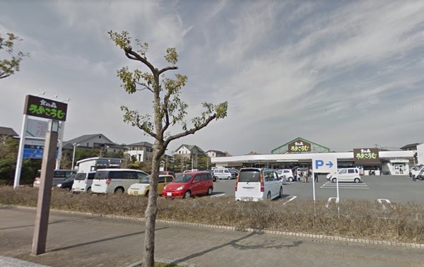 トリシア郡司分(ながの屋まなび野店)